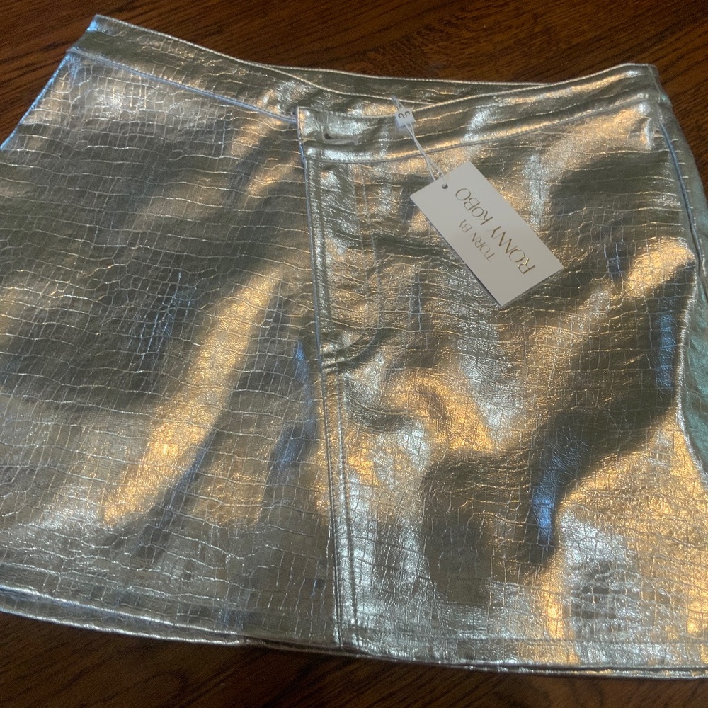 Torn by Ronny Kobo Metallic Silver Croc-Embossed Mini Skirt